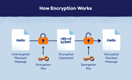 how-encryption-works_1783953503353109469.webp