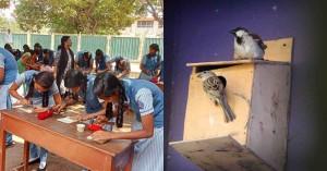 how-koodugal-nest-is_1743751363113556209.webp