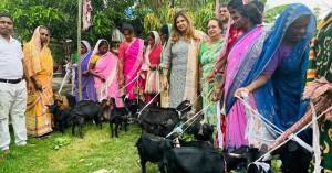 how-neeti-goel-helpe_1744008751837347530.webp