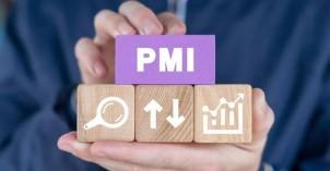 india-august-pmi-sho_1787319535561638013.webp