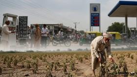 indias-growth-faces_1782378586941457297.webp