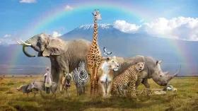 integrated-developme_1734677398812620722.webp