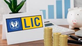 lic-stake-sale-retur_1786367744513090022.webp