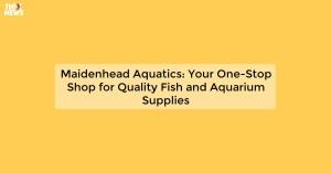 maidenhead-aquatics_1719811750238250597.webp