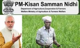 pradhan-mantri-kisan_17365920446695811.webp