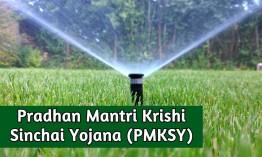 pradhan-mantri-krish_1734438080703918228.webp