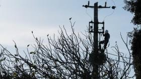 punjab-electricity-w_1755170093100281533.webp