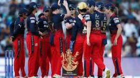 royal-challengers-ba_1739269087725620238.webp