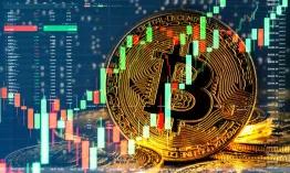 the-rise-of-bitcoin_1737005903407579460.webp