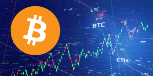 the-role-of-cryptocu_1737007027344069173.webp