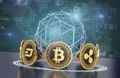 the-role-of-cryptocu_173700773676308060.webp