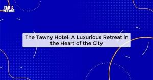 the-tawny-hotel-a-l_1719821577438888319.webp