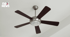 top-ten-ceiling-fan_1683803564593533034.webp