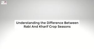 understanding-the-di_1725510985689804344.webp