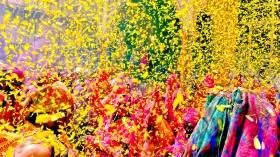 unique-holi-celebrat_174263271029395563.webp