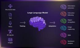 what-are-large-langu_1783333226930938572.webp