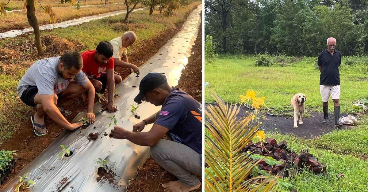 Siblings Turn Barren Land into Lush 1500-Tree Agrotourism Farm in Malshej Ghat