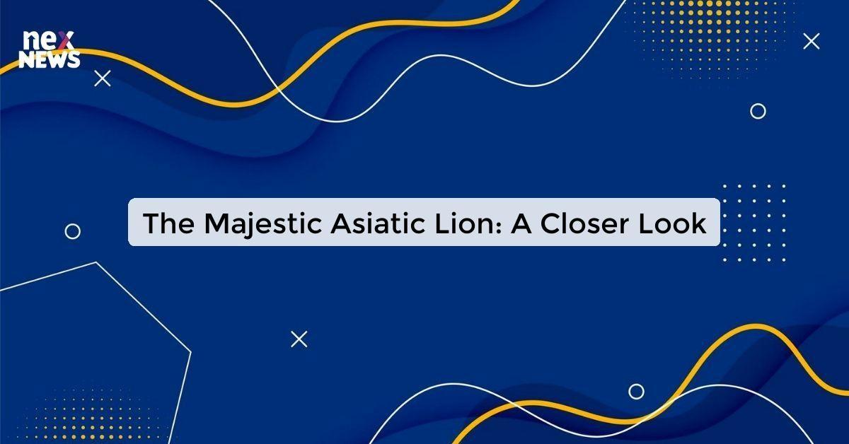 The Majestic Asiatic Lion: A Closer Look