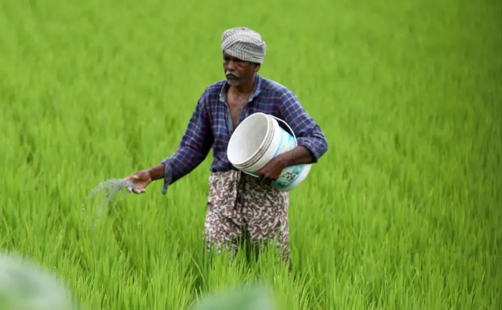 The Rise of Organic Farming in India