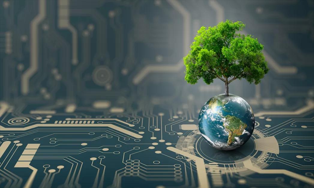 The Role of AI in Climate Change and Environmental Solutions