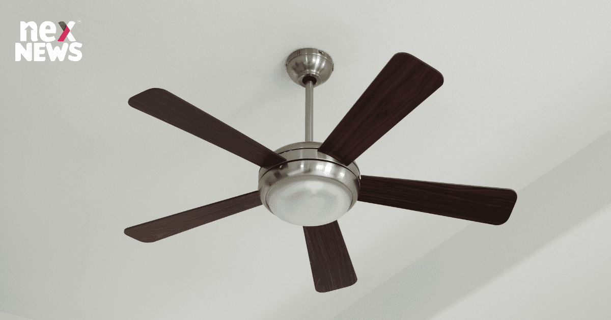 Top Ten Ceiling Fan Brands in India: A Guide to Staying Cool