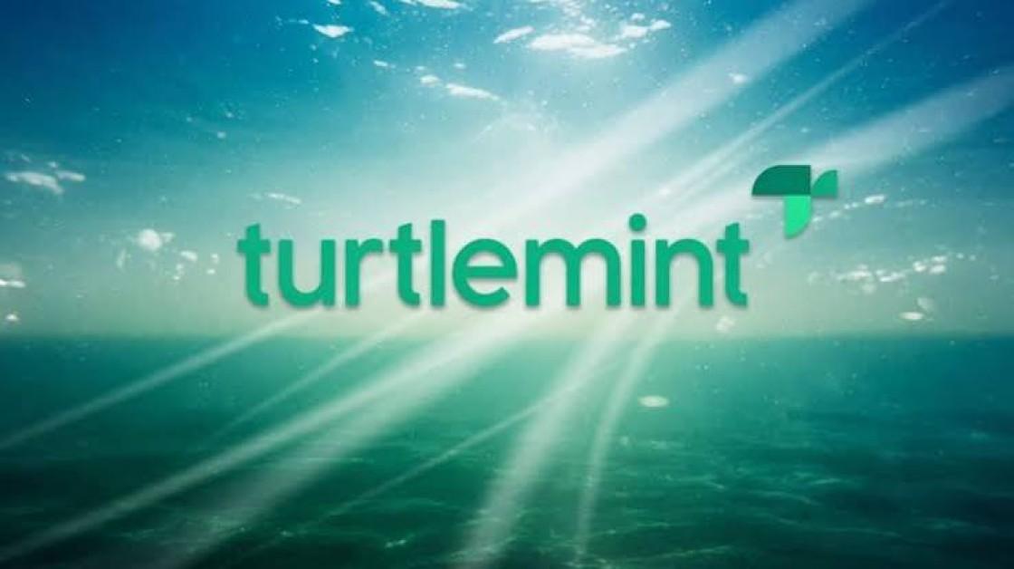 Turtlemint Q1 Revenue Rises Nearly 40% to ₹294 Crore as Fintech Loss Narrows