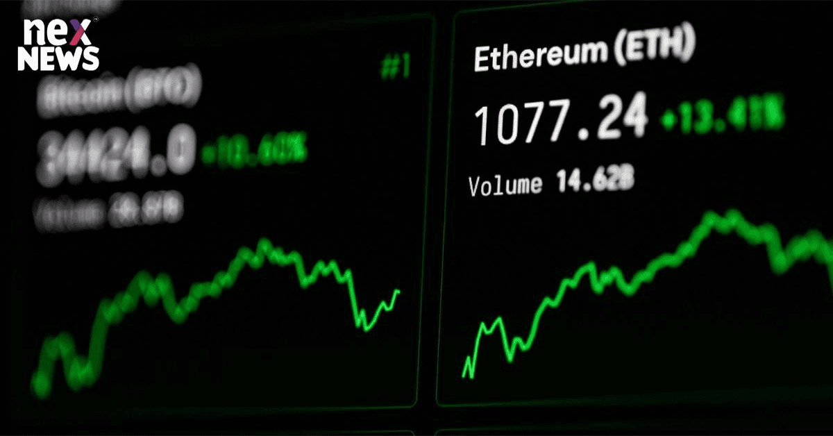 Twitter Launches Verification Mechanism For Nft Avatars Bybit Demonstrates Ambition On Nft Marketplace