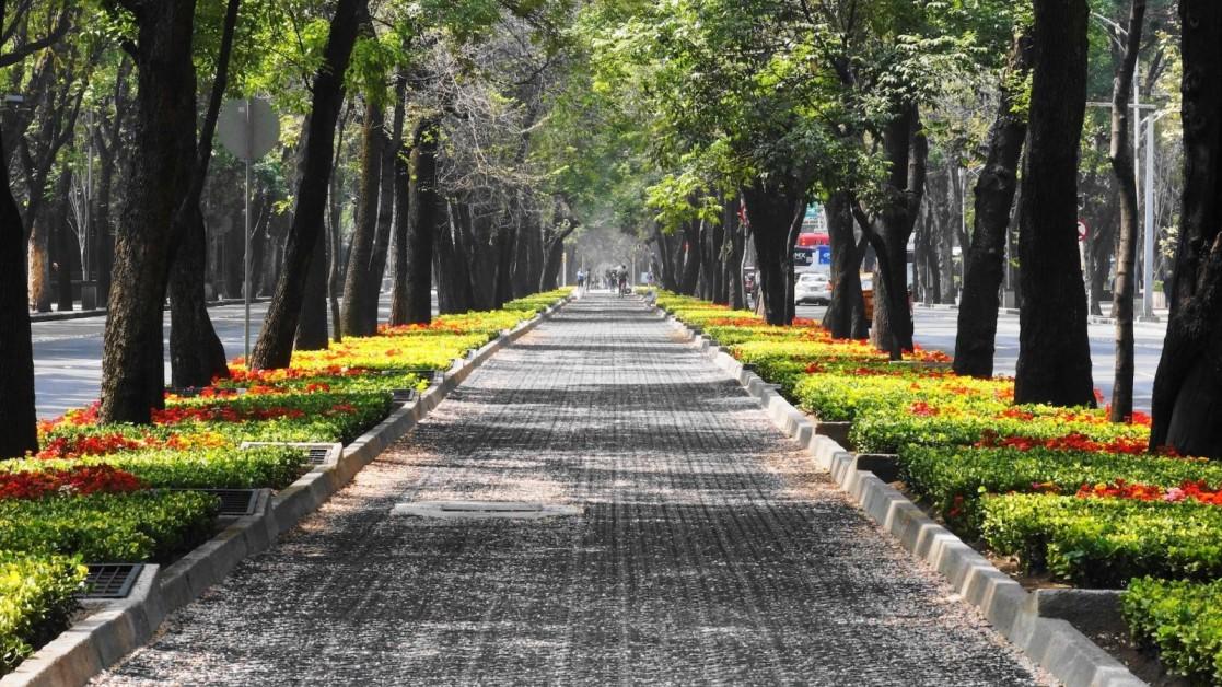 Urban Forests: How Green Spaces Are Transforming Cities Worldwide