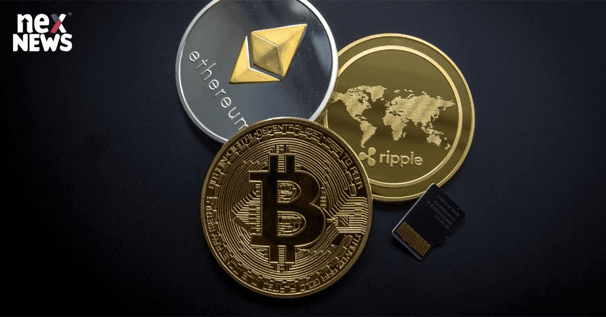 Warner Bros Launches Lord Of The Rings Nft With Eluvio