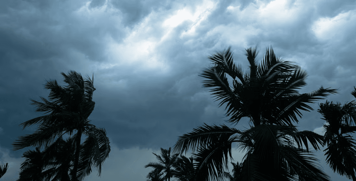 Weak Monsoon: India Readies Contingency Plans for Crops
