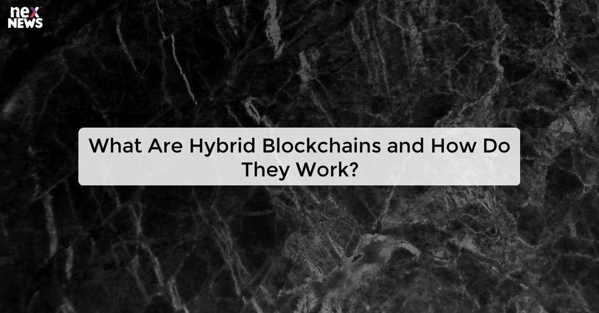 What Are Hybrid Blockchains and How Do They Work?