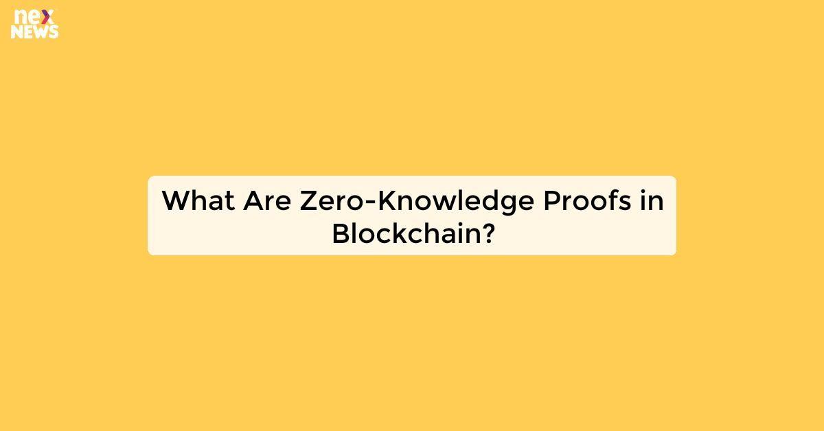 What Are Zero-Knowledge Proofs in Blockchain?