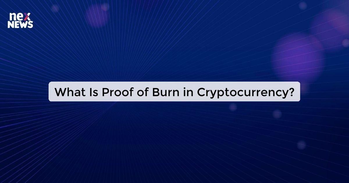 What Is Proof of Burn in Cryptocurrency?