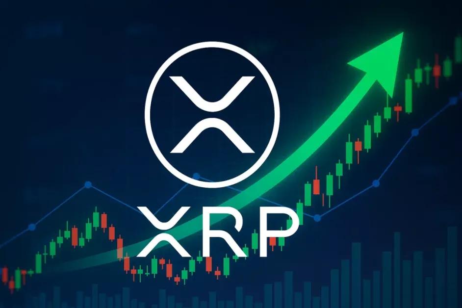XRP Gains Bullish Momentum as Trade Volumes Surge in May 2025