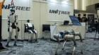 unitree-unveils-high_1787147830959393853.webp