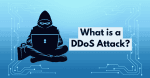 what-is-a-ddos-attac_1783599292224860063.webp