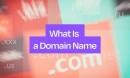 what-is-a-domain-nam_1783797824509630193.webp