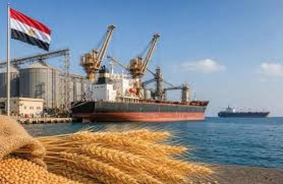 Crop Buyers Turn to Alternative Grain Suppliers as Black Sea Trade Disruptions Restrict Supplies Crop Buyers Turn to Alternative Grain Suppliers as Black Sea Trade Disruptions Restrict Supplies