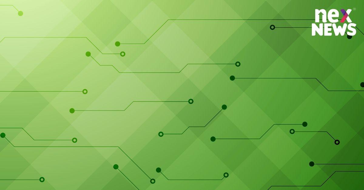 Exactly How You Can Choose The Right Lighting Options For Green Living Exactly How You Can Choose The Right Lighting Options For Green Living