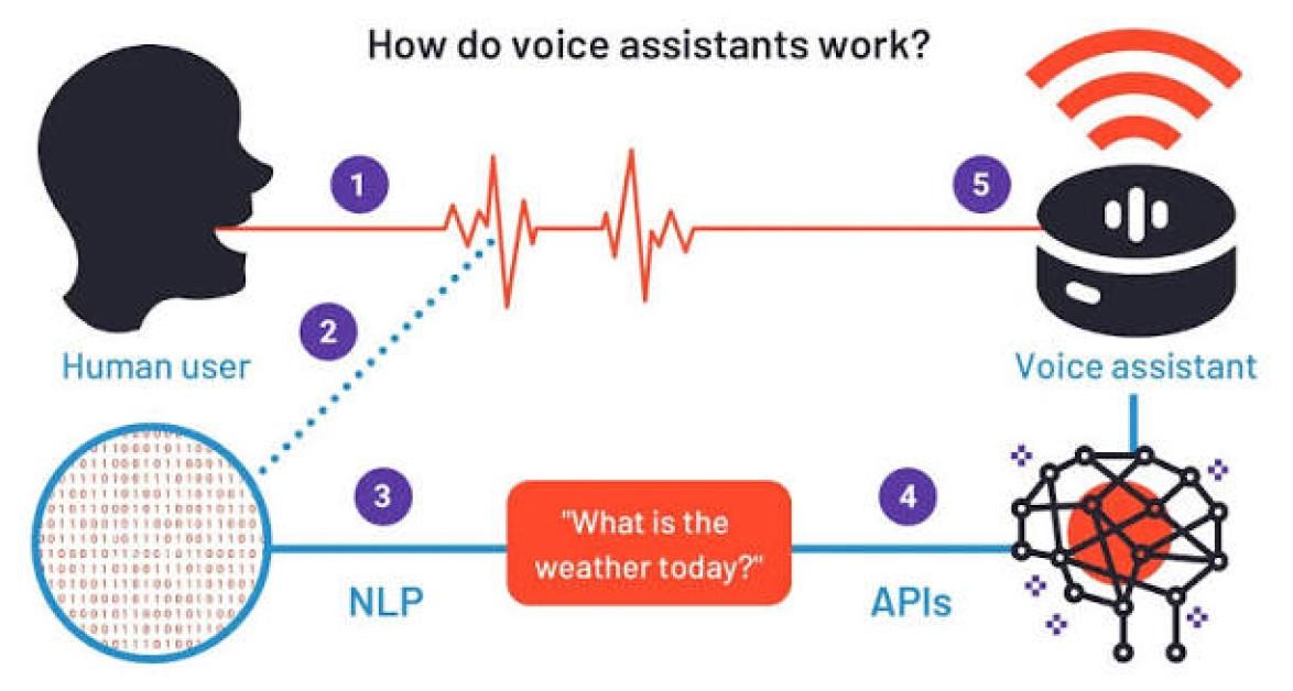 How Voice Assistants Work: A Beginner's Guide to AI-Powered Virtual Assistants How Voice Assistants Work: A Beginner's Guide to AI-Powered Virtual Assistants