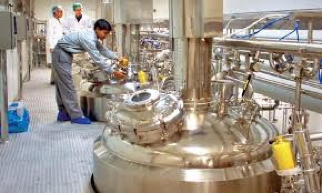 Indian Pharmaceutical Industry: From API to Formulation Guide Indian Pharmaceutical Industry: From API to Formulation Guide