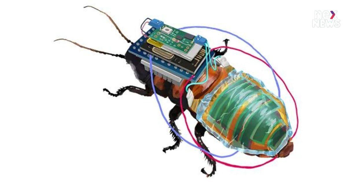 Innovation's Latest Advancement Is actually A Remote-Controlled Robot Cockroach