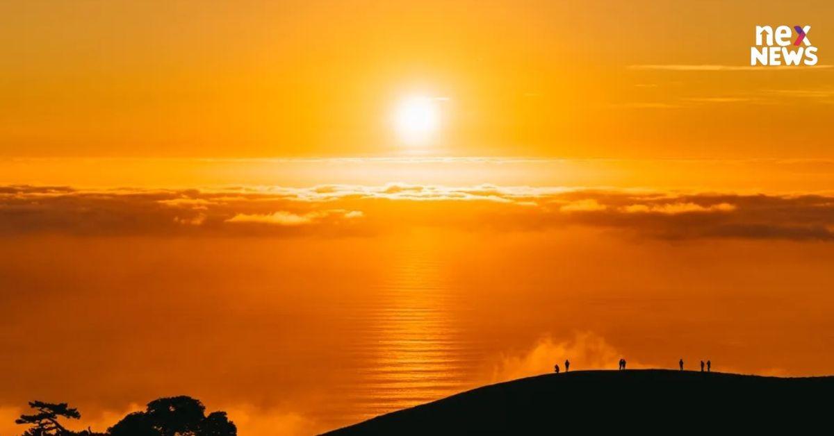 Moving Company Asia: IOTA's Glimmer Joins the Nationality to End Up Being the Following Big Blockchain, Bitcoin Seesaws Prior To Holding Near $19.5 K. Moving Company Asia: IOTA's Glimmer Joins the Nationality to End Up Being the Following Big Blockchain, Bitcoin Seesaws Prior To Holding Near $19.5 K.