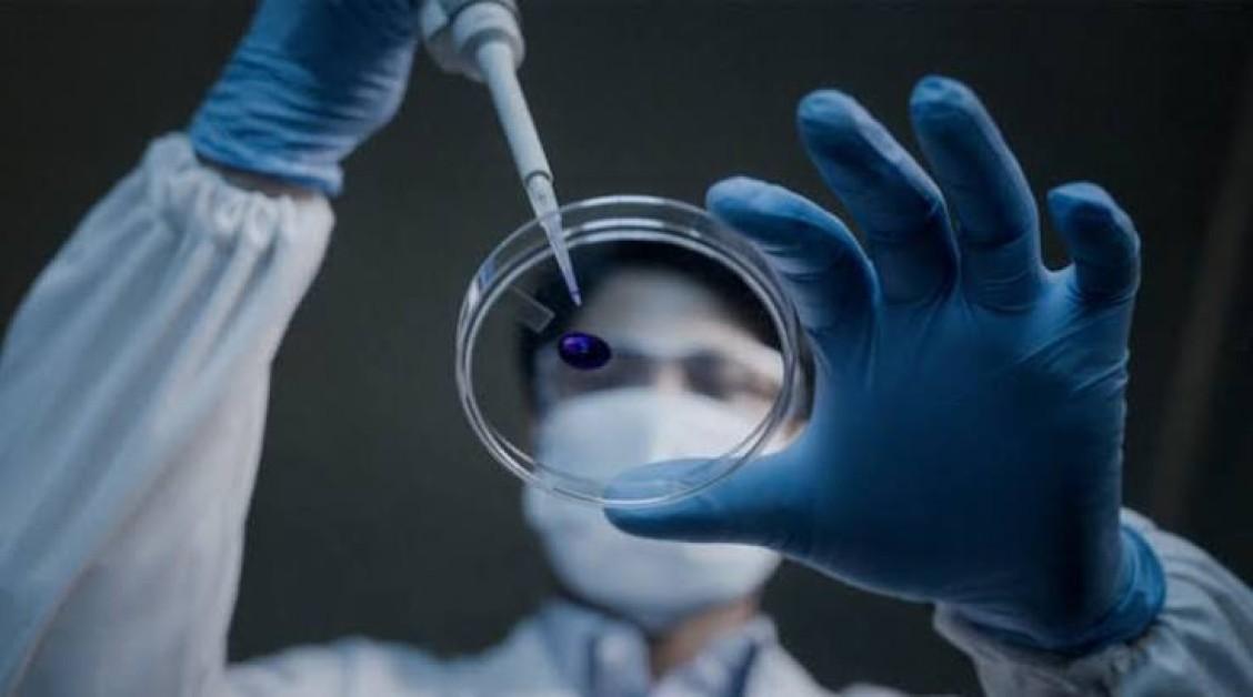 PI Industries Unveils India's First Indigenous Insecticide Pioxaniliprole PI Industries Unveils India's First Indigenous Insecticide Pioxaniliprole