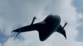 airbound-raises-37_1787668317105892184.webp