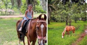 best-indian-farmstay_1743066736177635235.webp