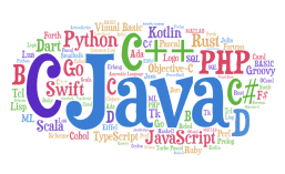 best-programming-lan_1733900861879622395.webp
