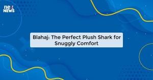 blahaj-the-perfect_1719816180312709903.webp