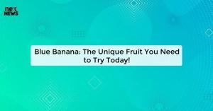 blue-banana-the-uni_1719816742807648079.webp