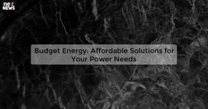 budget-energy-affor_1719811698784983816.webp